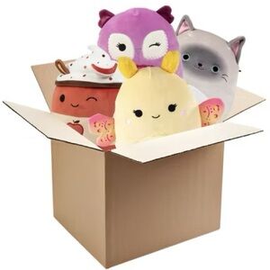 Squishmallows Plush Set - Blind Box